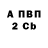 APVP СК Elizabeth W.
