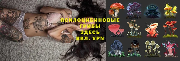 МДПВ Балахна