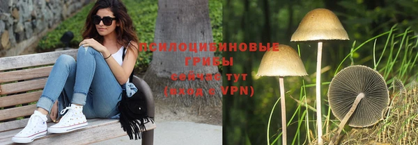 прущая мука Баксан