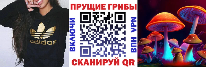 MEGA онион Болотное Галлюциногенные грибы GOLDEN TEACHER